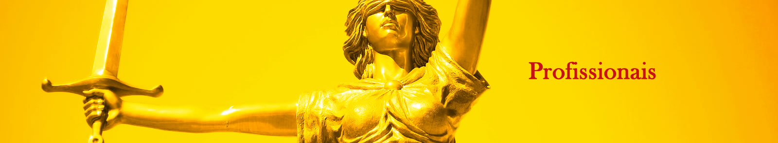 Banner da pagina profissionais